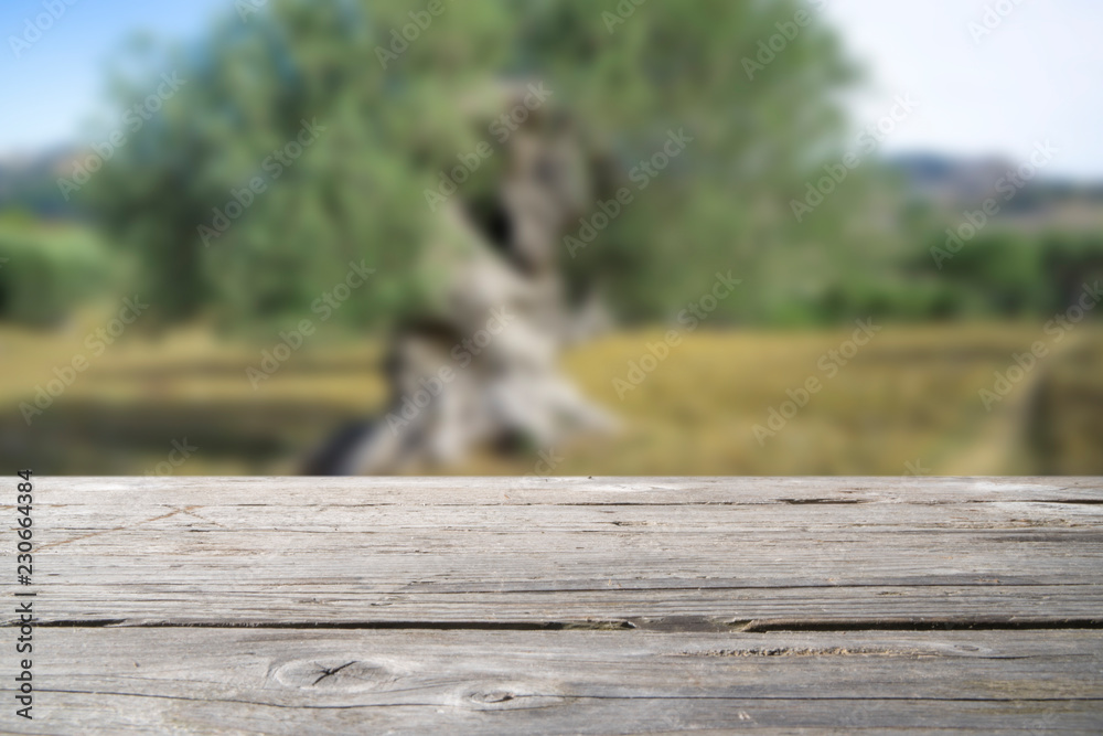 Empty wooden table space platform with blurred olive trees country outdoor background. Ready for product montage. Empty wooden table space platform with blurred olive trees country outdoor background. Ready for product montage.