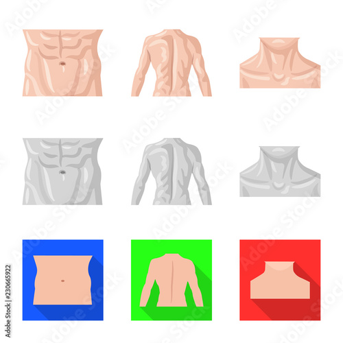 Vector illustration of human and part symbol. Set of human and woman stock vector illustration.