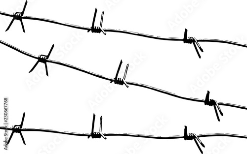 Barbed wire. Black and white pattern vector.