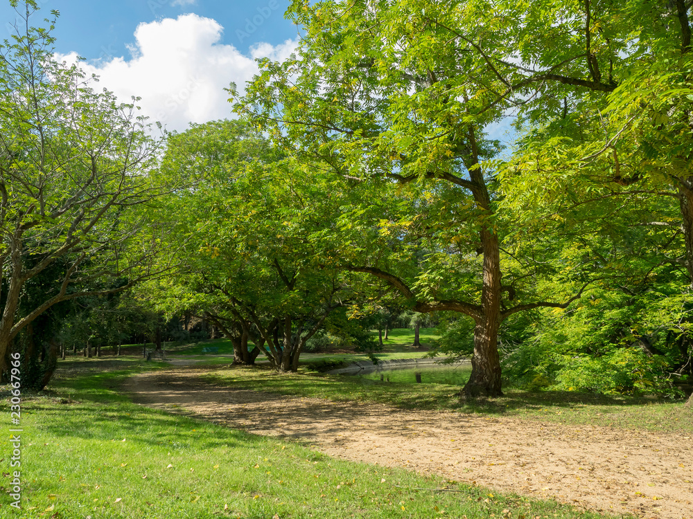 Ville de Vichy dans l'Allier. Parc du centre omnisports PierreCoulon