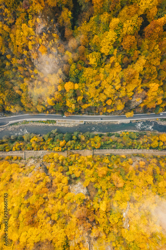 Foggy road in the morning with cars passing on it in the middle of the forest photo