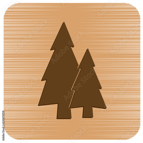 Fir Trees forest