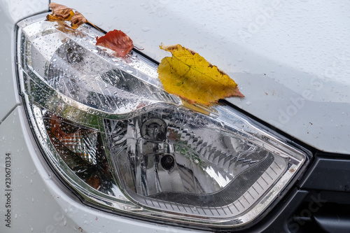 Auto-Scheinwerfer / Licht im Herbst photo