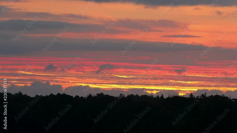 New Forest Sunrise