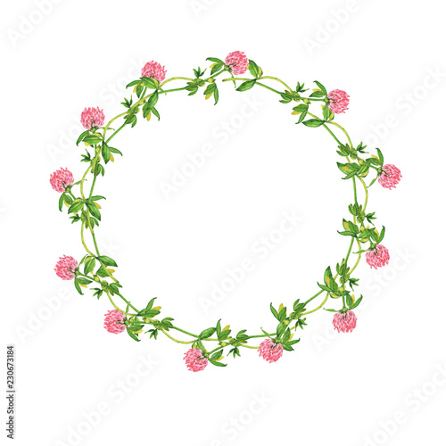 Summer clover flowers and fresh leaves frame isolated on white background. Hand drawn watercolor illustration.