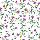 Seamless pattern with lilac and brown summer flowers on white background. Hand drawn watercolor illustration.