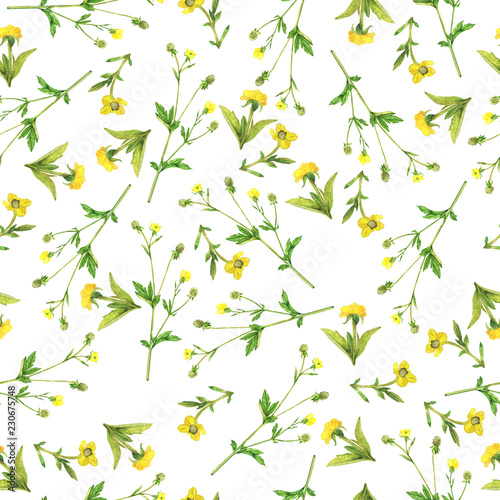 Seamless pattern with elegance yellow flowers on white background. Hand drawn watercolor illustration.