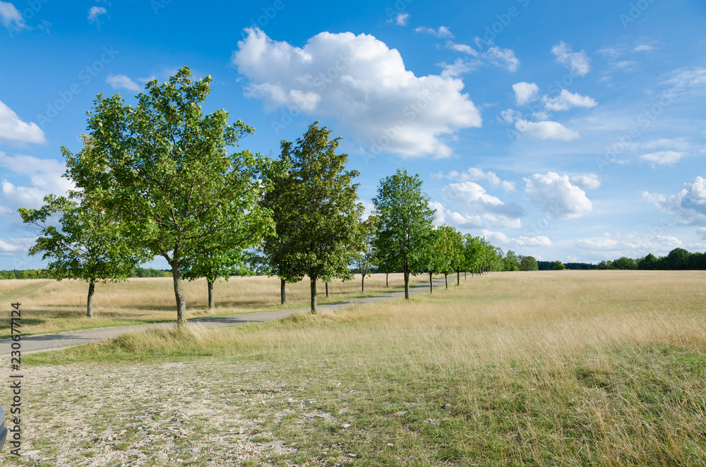 Radweg durch die Natur