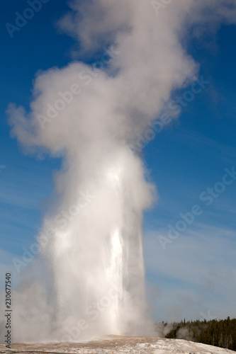 old faithful geyser in yellowstone national park