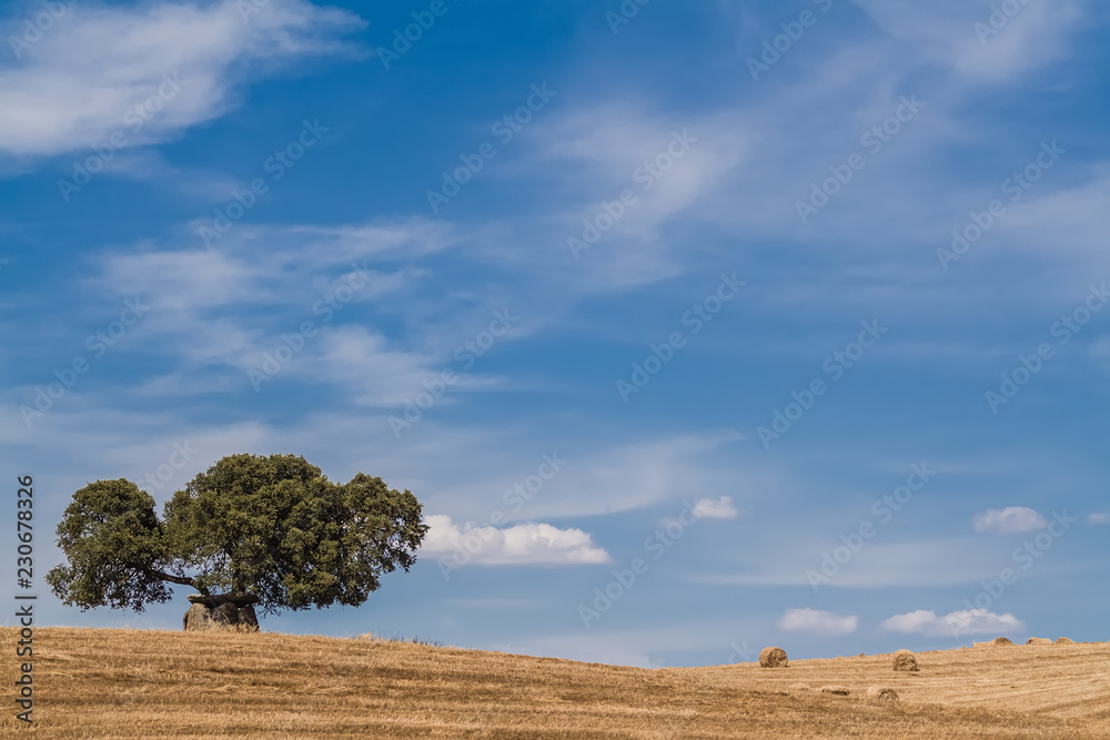 Harvest on farmland. Countryside with hay or wheat straw bales. Dolmen and Cork Oak. Southern European or Mediterranean landscape. Alentejo, Portugal