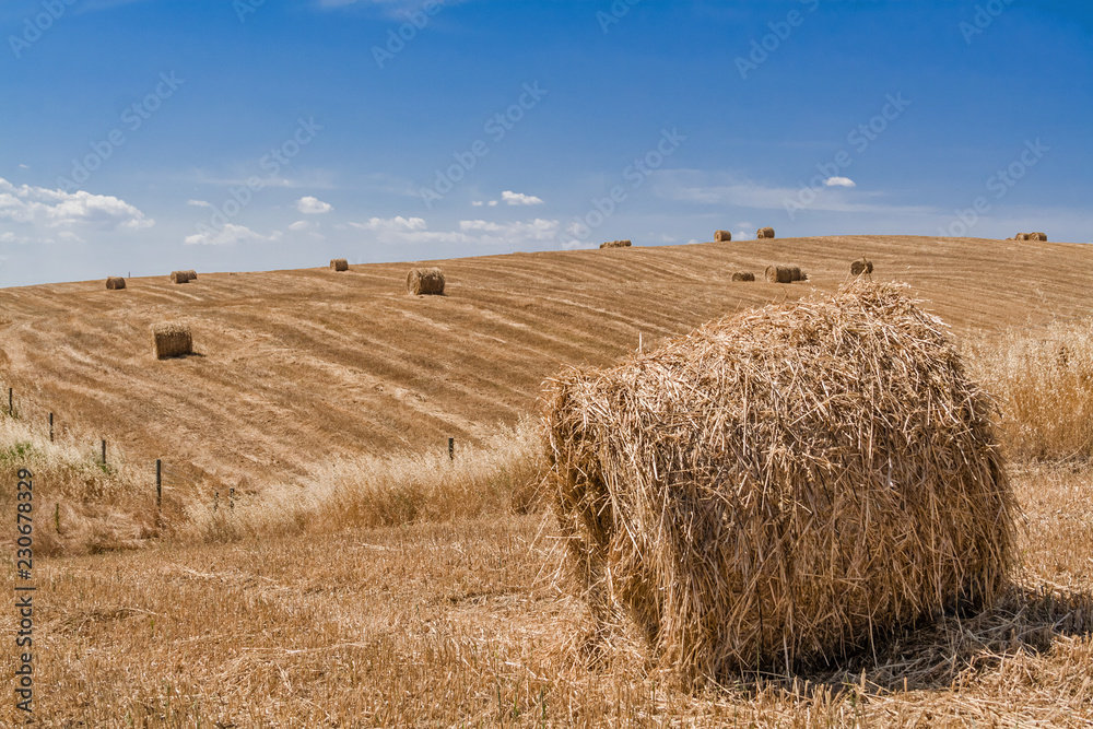 Farmland on countryside during harvest with hay or wheat straw bales. Southern European or Mediterranean landscape on summer. Alentejo, Portugal