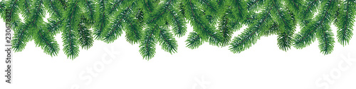 Vector seamless winter coniferous tree branches with needle leaves on white background.