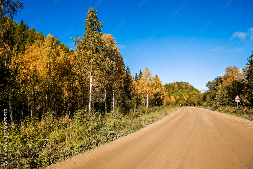 Pinega. Golden autumn in the Russian North.