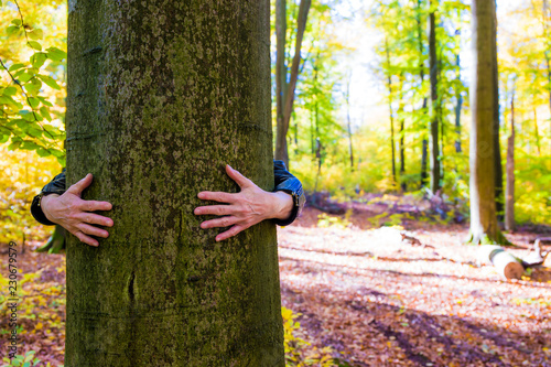 eine Frau umarmt in einem alten Buchenwald einen Baum photo