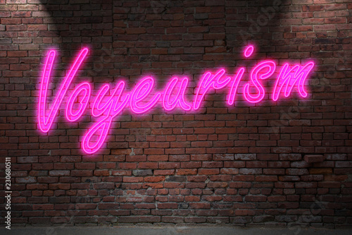 Konstfotografi Neon Voyeurism Lettering on Brick Wall