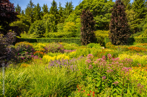 Fototapeta Naklejka Na Ścianę i Meble -  flower meadow rhs rosemoor