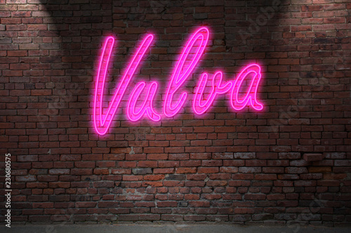 Leuchtreklame Vulva an Ziegelsteinmauer