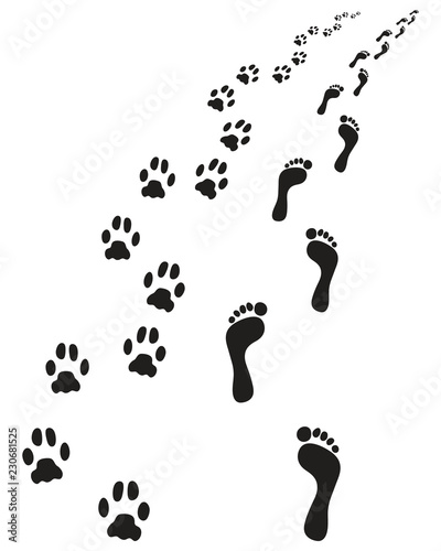 Footprints of bare feet and paws dog, turn right