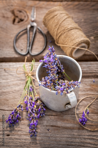 Fototapeta Naklejka Na Ścianę i Meble -  Fresh and fragrant lavender preparation for home drying