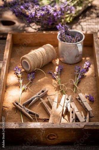 Fototapeta Naklejka Na Ścianę i Meble -  Freshly harvested lavender preparation for home drying