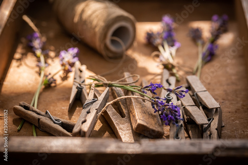 Fototapeta Naklejka Na Ścianę i Meble -  Aromatic and pleasant lavender in a summer garden