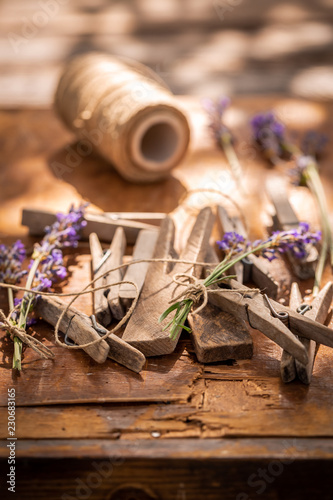 Fototapeta Naklejka Na Ścianę i Meble -  Freshly harvested lavender ready to dry in countryside
