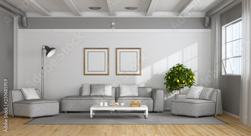 White and gray modern living room
