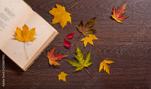 Autumn concept. Book and autumn leaves. Sentimental poetry
