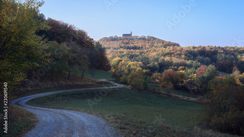 Autumn in Bavaria, golden fall colors in the morning. Orange Leaves in the countryside