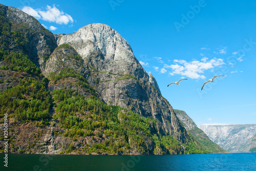 The Breathtaking Norwegian Aurlandsfjord and Naeroyfjord - UNESCO protected fjord - cruise  Flam- Gudvangen  on Norway in a Nutshell Tour. One of the narrowest fjords in Europe Naeroyfjord   seagulls.