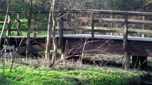 Wooden bridge, road throught the park.