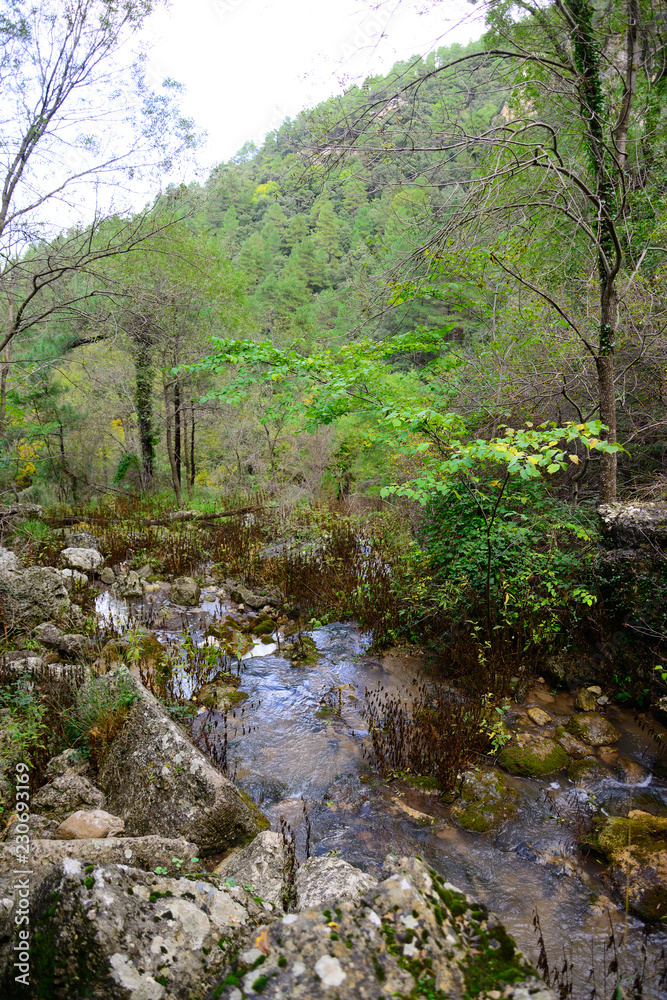 Natural place of the birth of the Mundo River, Albacete, Spain. Natural place of the birth of the Mundo River, Albacete, Spain.