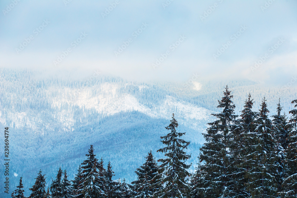 Snowy mountains and forest, beautiful mountain view