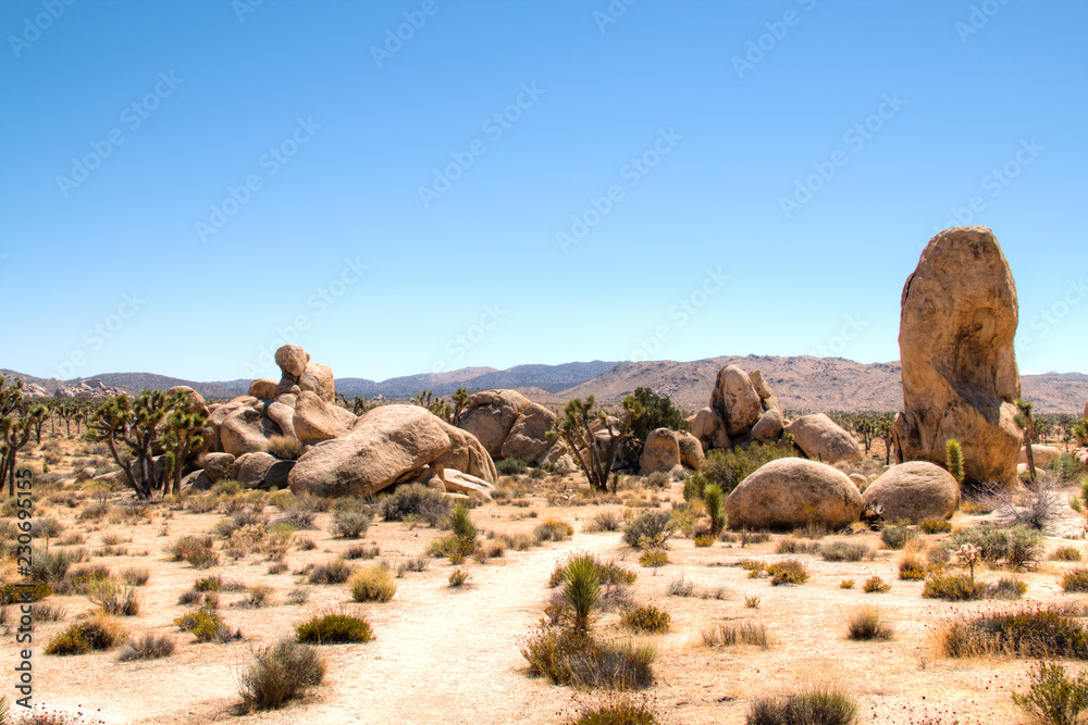 Joshua Tree National Park with its typical trees and rock formations near Palm Springs in the California desert in the USA