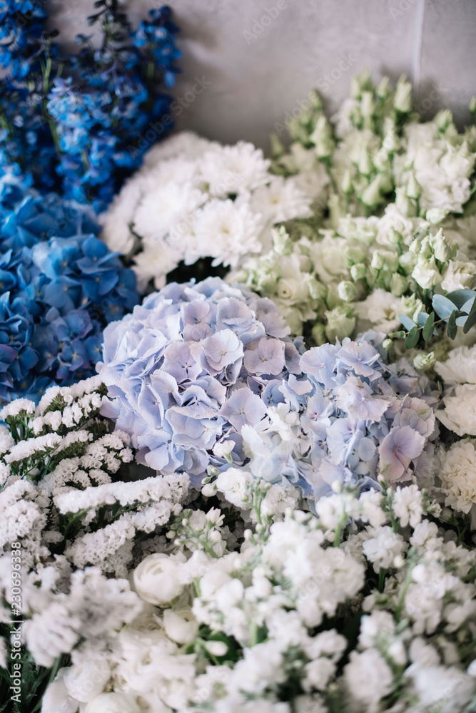 Beautiful blossoming flowers bed of white roses, ranunculus, mattiolas, lilac, eustoma, chrysanthemums and blue hydrangeas as one endless flower texture, top view. Fresh delivery at the florist shop Beautiful blossoming flowers bed of white roses, ranunculus, mattiolas, lilac, eustoma, chrysanthemums and blue hydrangeas as one endless flower texture, top view. Fresh delivery at the florist shop