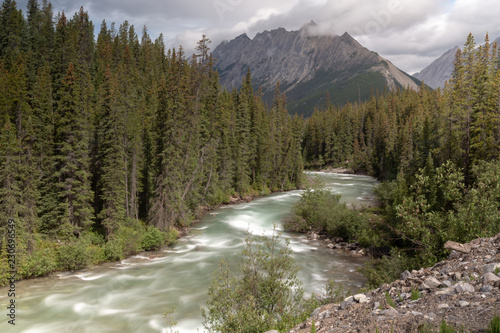 Rushing river with the view of mountain peak in a forest of fir trees under a cloudy sky in Jasper National Park Canada