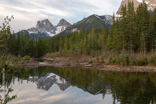 Three Sisters mountain view and reflection, forest and a beaver dam from the bank of the Bow river in Canmore Alberta