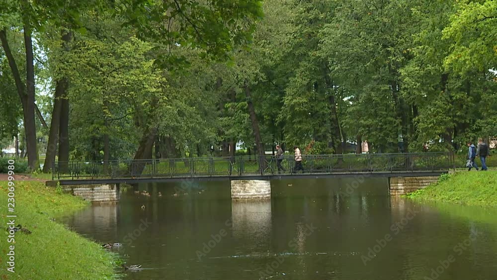 Beautiful views of forests and parks in early autumn. Beautiful views of forests and parks in early autumn.