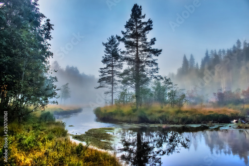 Malerische Landschaft an einem nebligen Morgen an einem schwedischen Fluss