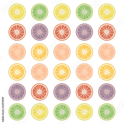 Round citrus slices isolated objects simple on a white background multicolored vector green red fruit list.
