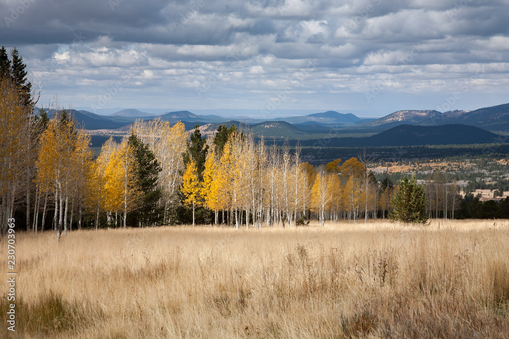 Fall in the mountains