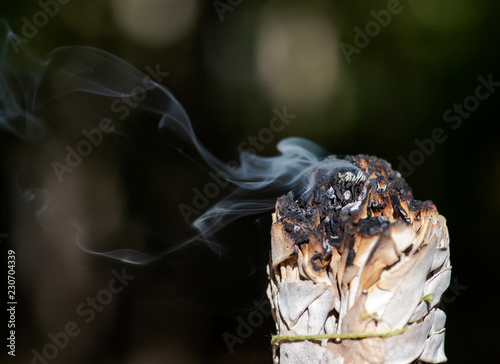 Smudging ritual using burning thick leafy bundle of white sage in forest preserve.