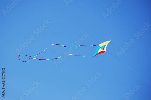 A kite flying photo