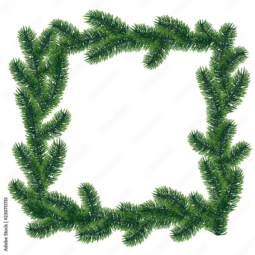 Vector winter rectangle frame with coniferous tree branches with needle leaves on white background.