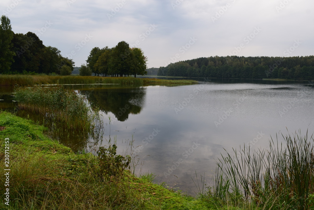 Obraz premium Beautiful landscape. Lake, forest, shore, sky. Reflection in water.