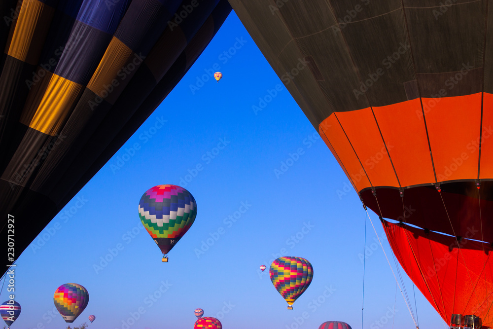 Obraz premium Globos