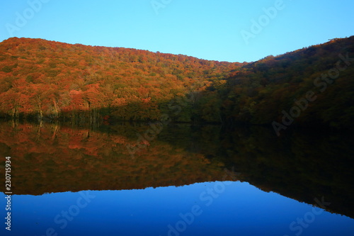 紅葉の蔦沼