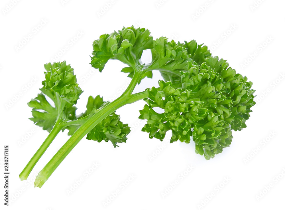 Fototapeta premium parsley on white background