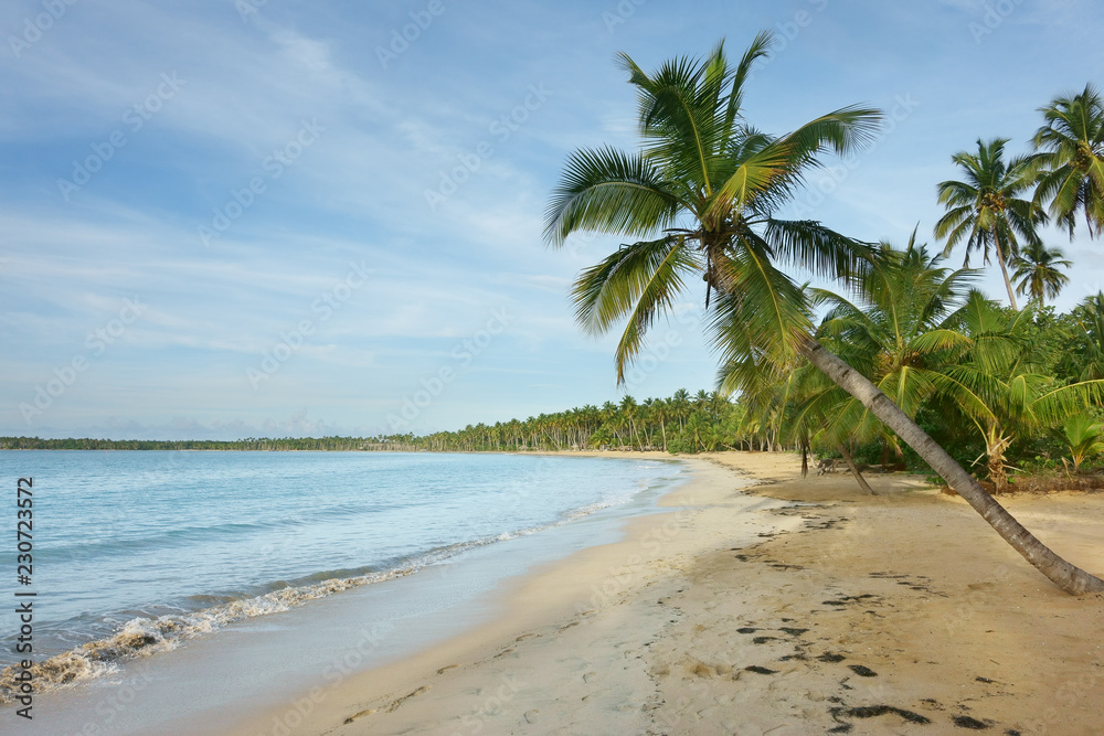 Fototapeta premium Beautiful natural beach, Samana, Dominican Republic