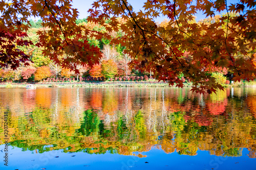 蓼科湖の紅葉